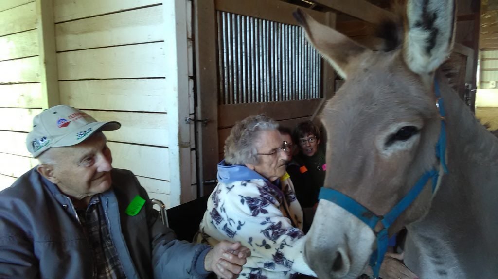 Photo of a donkey being fed by senior citizens in the barn at Nature's Edge