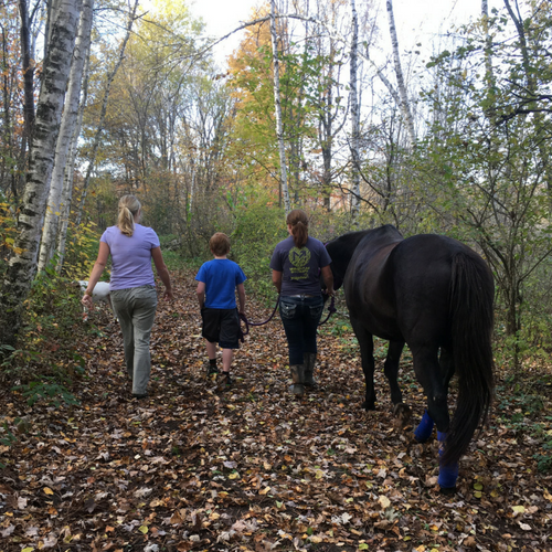 Natures Edge - Trail Walking with Horses (1)